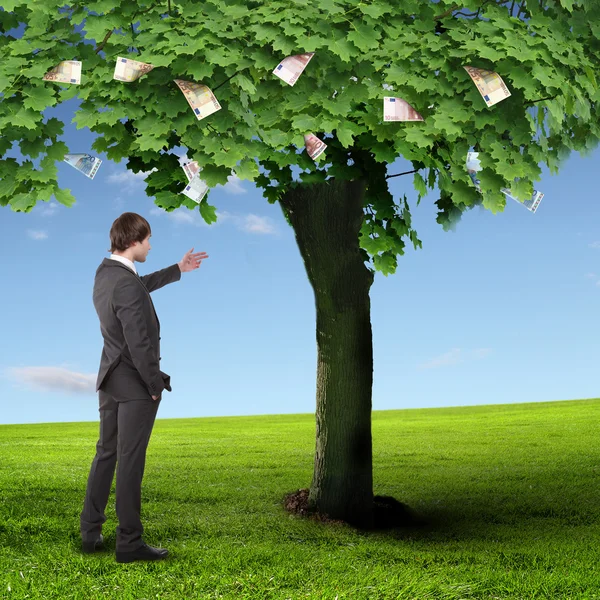 Дерево грошей і молодий діловий чоловік — стокове фото