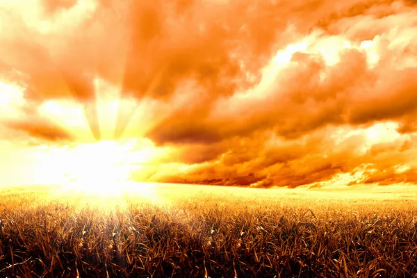 田園風景と輝く太陽 — ストック写真
