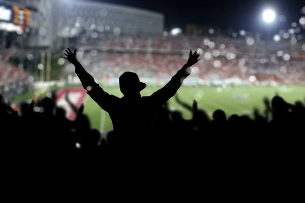 Menschenmenge im Stadion — Stockfoto