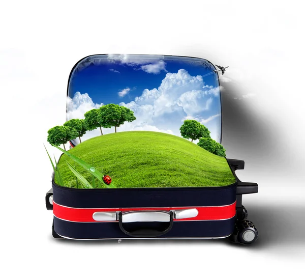 A zöld természet belül piros bőrönd — Stock Fotó