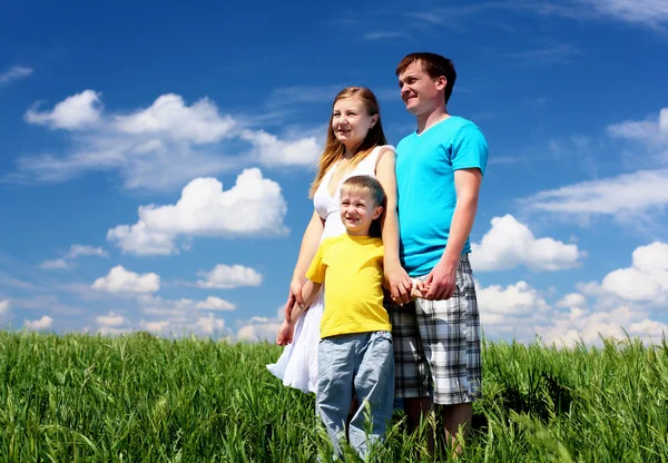 Семья с детьми в летний день на открытом воздухе Стоковое Фото