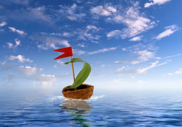 Nutshell ship with green leaf sail — Stock Photo, Image