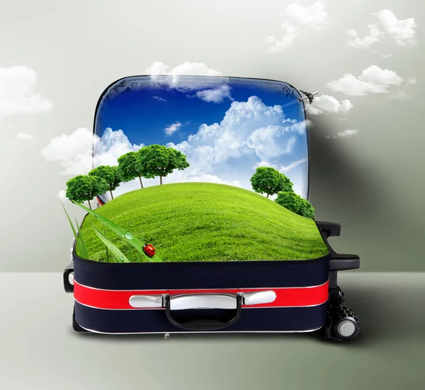 Κόκκινη βαλίτσα με το πράσινο της φύσης στο εσωτερικό — Φωτογραφία Αρχείου