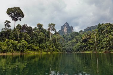 tropikal peyzaj. Cheow lan Gölü. Khao sok Milli Parkı. Tayland.