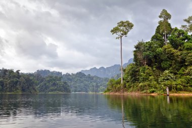 Cheow lan Gölü. Khao sok Milli Parkı. Tayland.