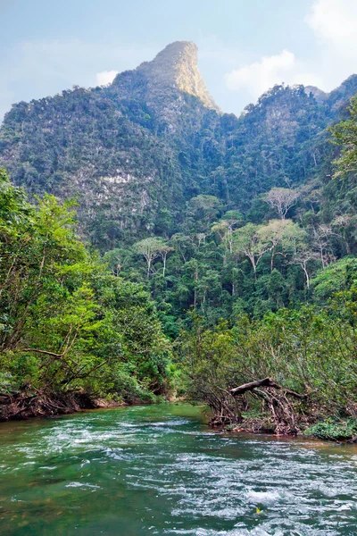 熱帯の風景 — ストック写真