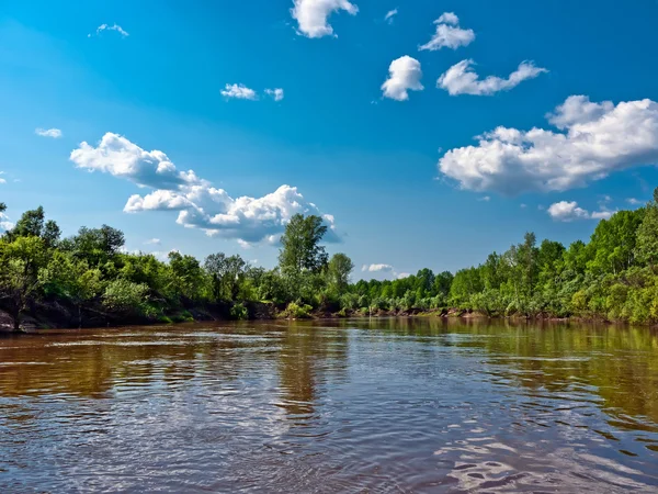 Sommarlandskap med flod. — Stockfoto