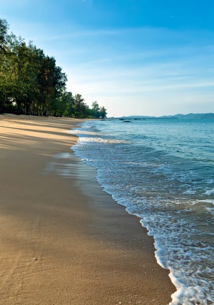 Sandy beach in the early morning — Stock Photo, Image