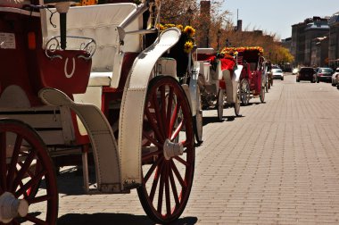 A row of horse carriages clipart