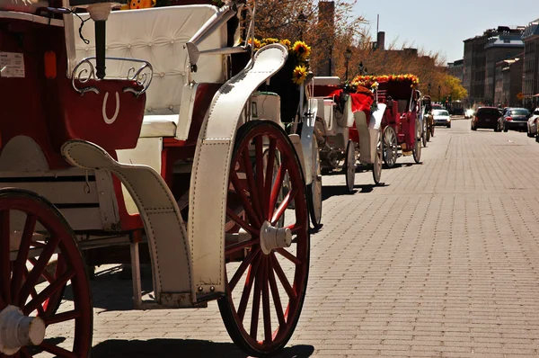 stock image A row of horse carriages