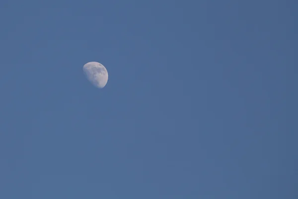 stock image Moon on the blue sky