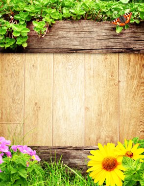 Summer background clipart