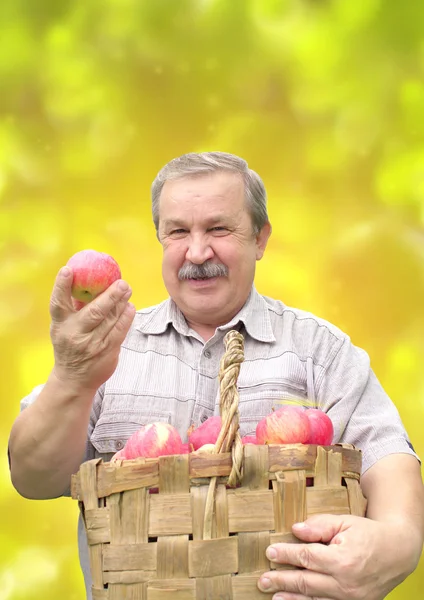 stock image Harvesting a apple