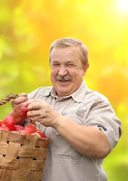 stock image Harvesting a apple