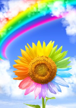 Rainbow clipart