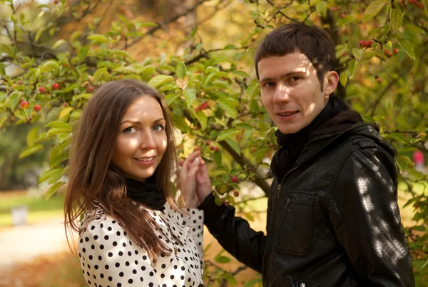 Jovem belo casal no outono — Fotografia de Stock
