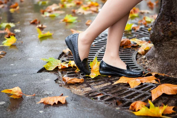Autumn in Paris. Beautiful female legs and many bright autumn le — Stock Photo, Image