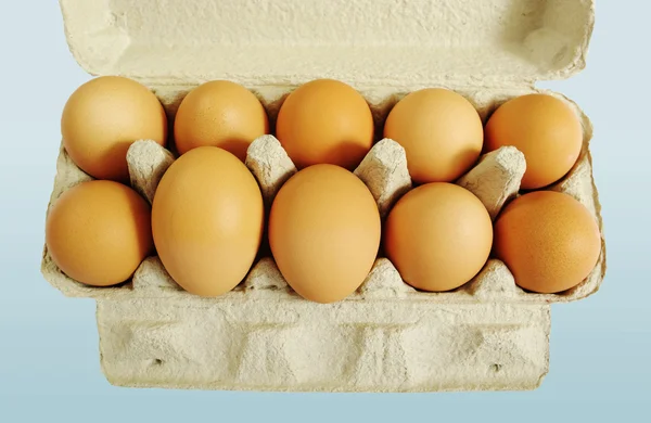 Tio bruna ägg. — Stockfoto