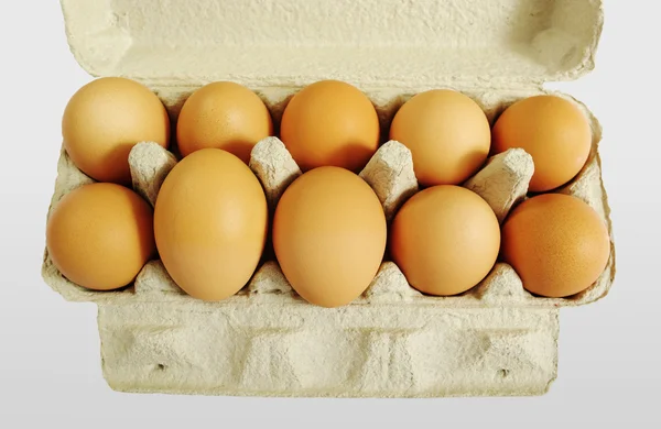 Tio bruna ägg. — Stockfoto