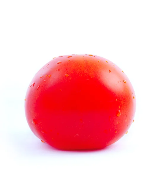 One tomato. — Stock Photo, Image