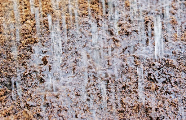 A gyep talaj eső. — Stock Fotó