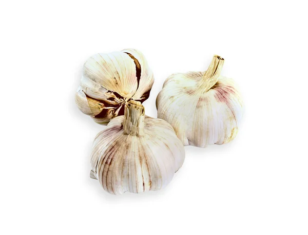Garlics. — Zdjęcie stockowe