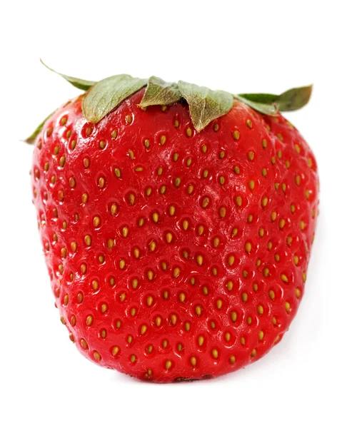 Single strawberry. — Stock Photo, Image