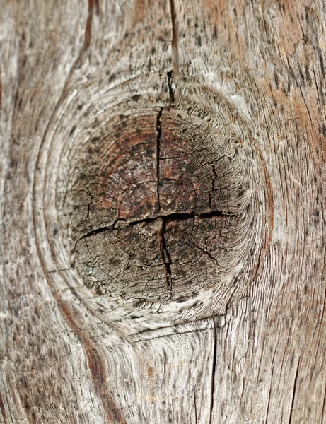 Wood surface. — Stock Photo, Image