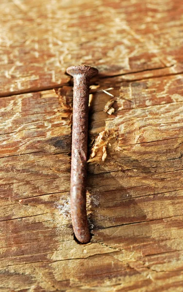 Rusty nail in wood. Royalty Free Stock Images