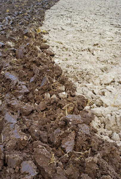 stock image Natural plowed field.