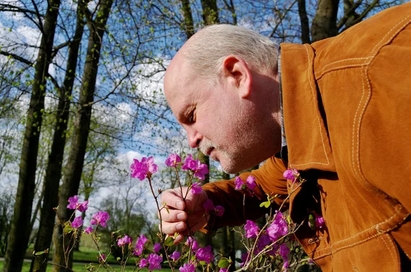 Man snuffing a flower. — Stock Photo, Image