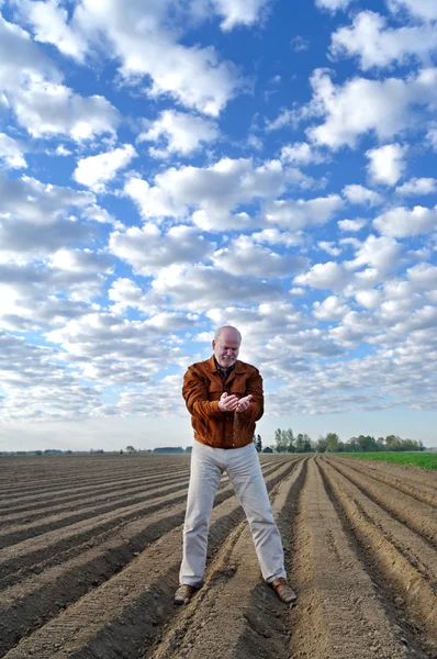 Agronomista no campo . — Fotografia de Stock