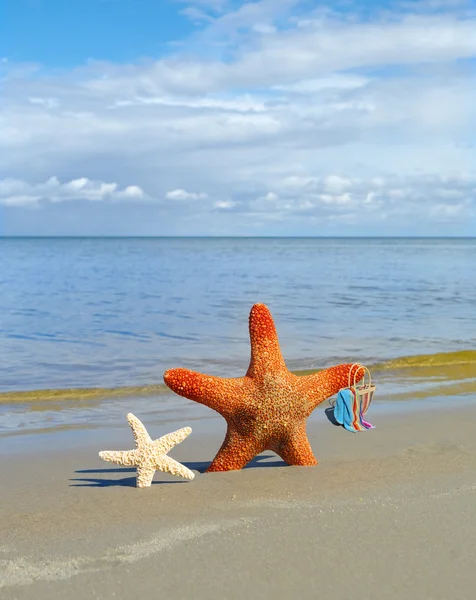 Starfishes na praia com saco . — Fotografia de Stock