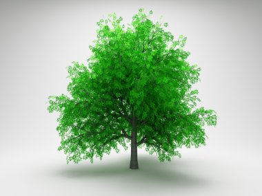 Yeşil ağaç