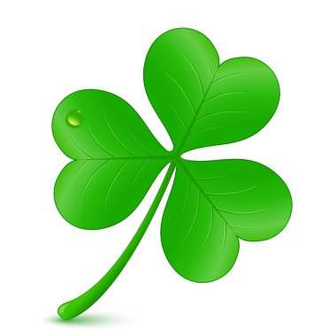 Clover - St. Patrick's day symbol clipart