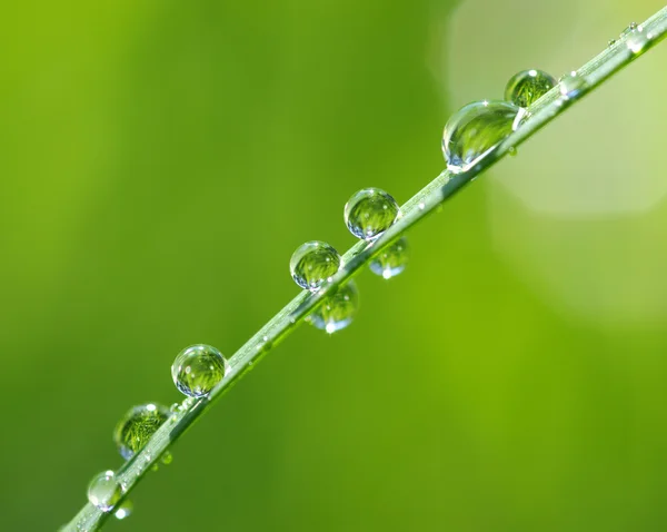 Water drops — Stock Photo, Image