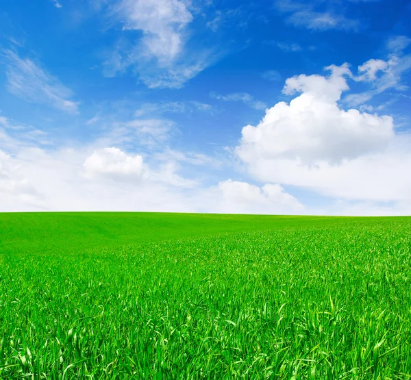 Campo e céu — Fotografia de Stock