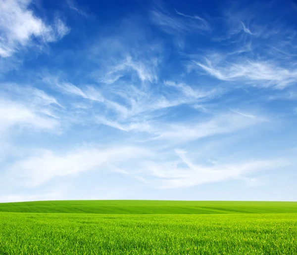Fält och himmel — Stockfoto