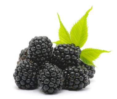 Blackberry