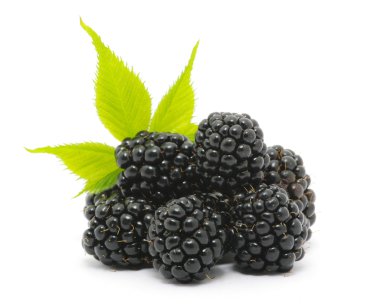 Blackberry