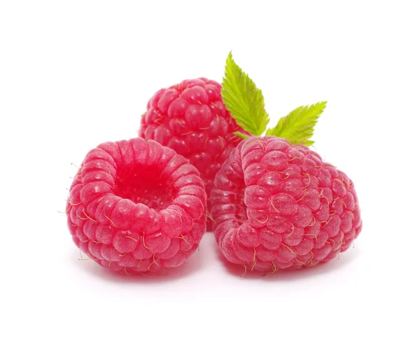 Raspberry o — Stock Photo, Image