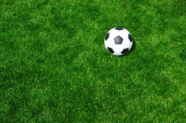 М'яч на траві — стокове фото