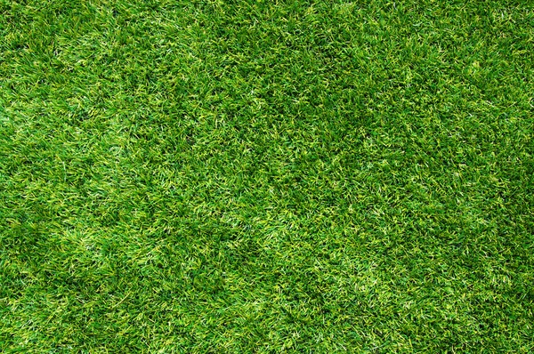 Textur grön gräsmatta — Stockfoto