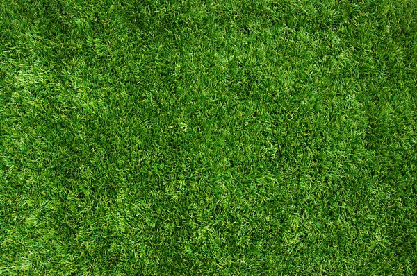 Textuur groene gazon — Stockfoto
