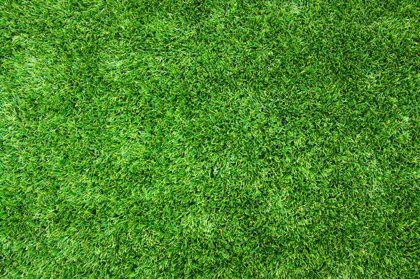 Doku yeşil çim — Stok fotoğraf