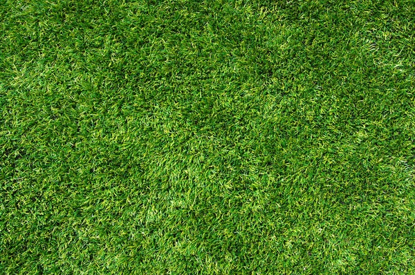 Texture green lawn — Stock Photo, Image