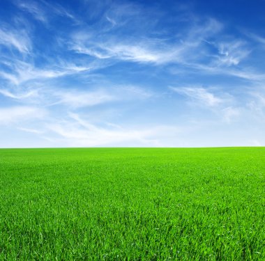 Green grass and sky clipart