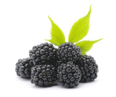 Blackberry