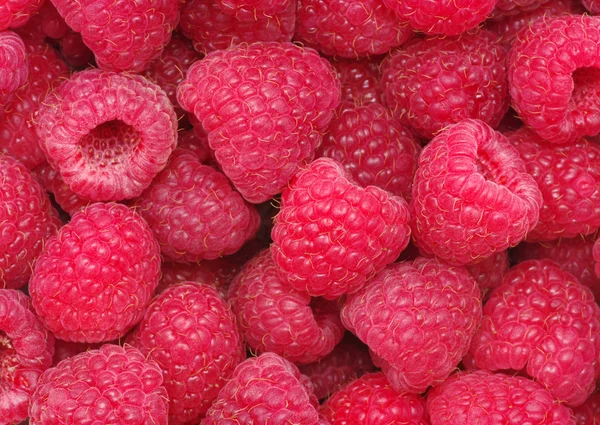 Raspberry background — Stock Photo, Image