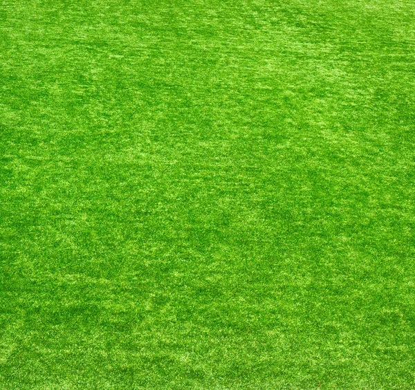 Tekstura zielony trawnik — Zdjęcie stockowe